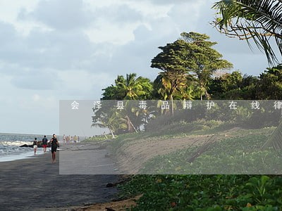 会泽县毒品辩护在线律师 会泽县毒品辩护在线律师