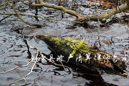 会泽县破产清算律师咨询电话 会泽县破产清算律师咨询电话