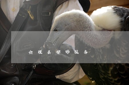 会理县律师服务