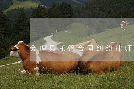 会理县托管合同纠纷律师 会理县托管合同纠纷律师