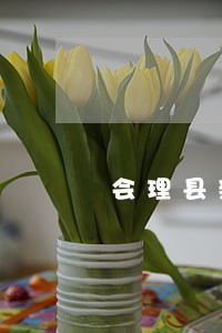会理县新闻侵权在线律师