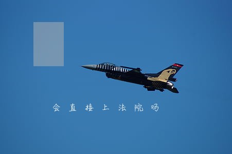 会直接上法院吗