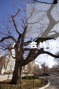 会被信用卡逾期款扣去吗 会被信用卡逾期款扣去吗