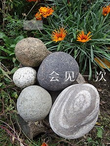 会见一次请律师多少钱 会见一次请律师多少钱