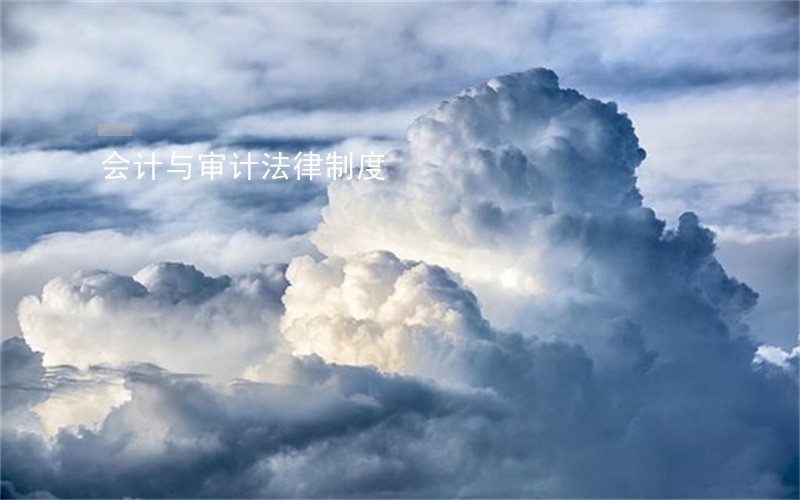 会计与审计法律制度 会计与审计法律制度