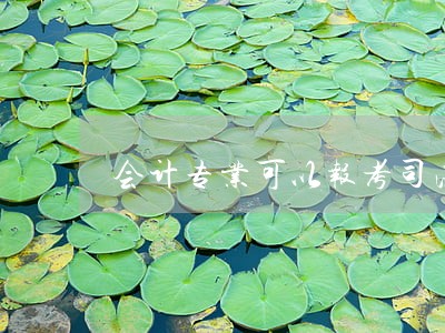 会计专业可以报考司法考试吗 会计专业可以报考司法考试吗