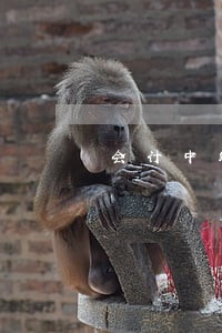 会计中级经济法202 会计中级经济法202