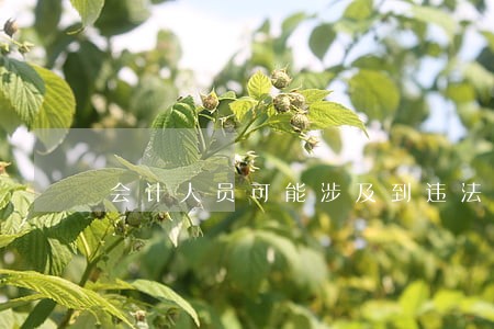 会计人员可能涉及到违法行为 会计人员可能涉及到违法行为