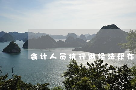 会计人员执行财经法规存在问题 会计人员执行财经法规存在问题