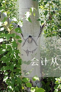 会计从业人员财经法规