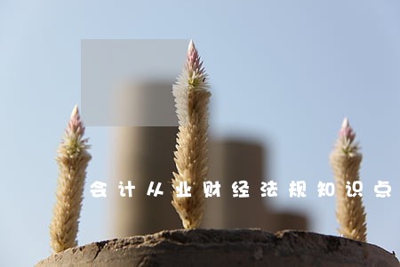会计从业财经法规知识点总结 会计从业财经法规知识点总结