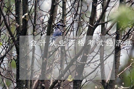 会计从业资格考试经济法课件01 会计从业资格考试经济法课件01