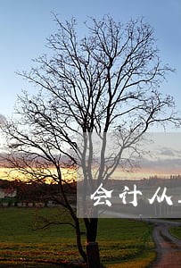 会计从业资格考试题财经法规 会计从业资格考试题财经法规