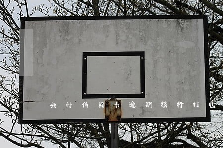 会计信用卡逾期银行打电话 会计信用卡逾期银行打电话