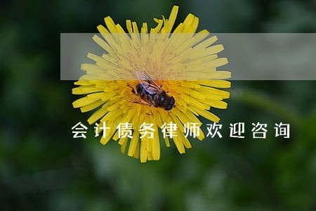 会计债务律师欢迎咨询 会计债务律师欢迎咨询