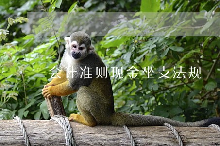 会计准则现金坐支法规 会计准则现金坐支法规
