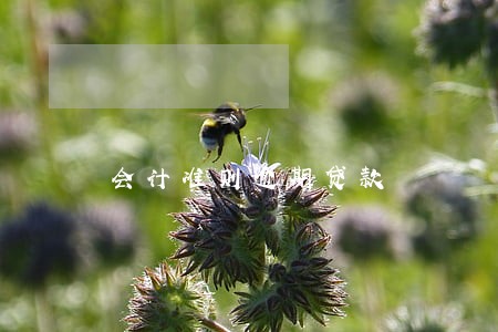 会计准则逾期贷款 会计准则逾期贷款