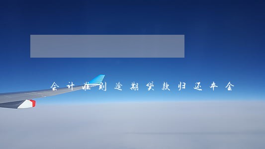会计准则逾期贷款归还本金