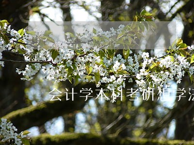 会计学本科考研想学法律 会计学本科考研想学法律