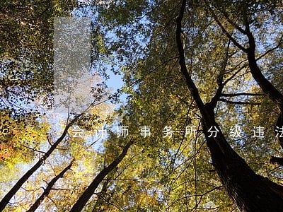 会计师事务所分级违法 会计师事务所分级违法