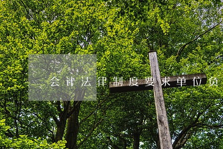 会计法律制度要求单位负责人