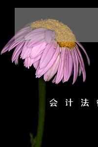 会计法律法规有哪些 会计法律法规有哪些