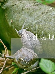 会计法规与制度制定的原则 会计法规与制度制定的原则