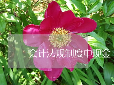 会计法规制度中现金
