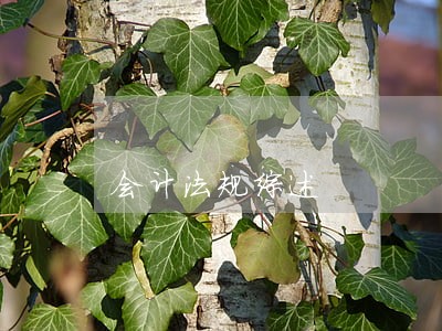 会计法规综述