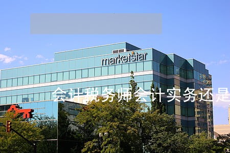 会计税务师会计实务还是经济法