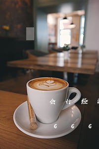 会计经济法组合注会/2023021506668 会计经济法组合注会/2023021506668