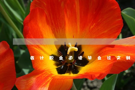 会计职业道德毕业论文财经法规