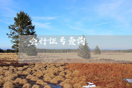会计证号查询 会计证号查询