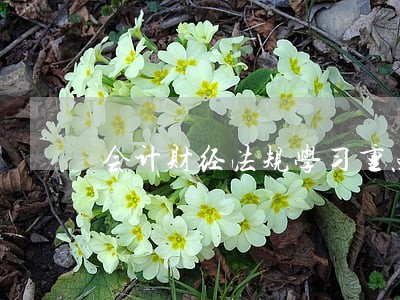 会计财经法规学习重点 会计财经法规学习重点