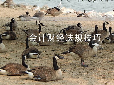 会计财经法规技巧 会计财经法规技巧