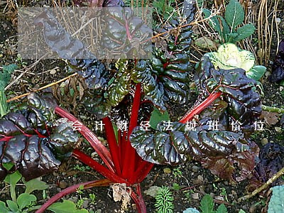 会计财经法规班价位