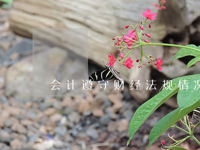 会计遵守财经法规情况 会计遵守财经法规情况