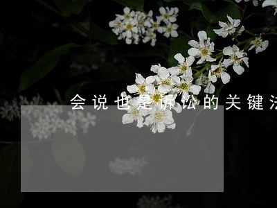 会说也是诉讼的关键法宝 会说也是诉讼的关键法宝