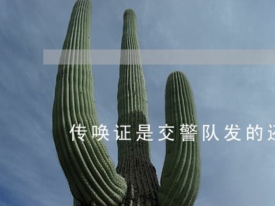 传唤证是交警队发的还是法院发的 传唤证是交警队发的还是法院发的