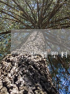 传播塑料紫菜谣言违法吗 传播塑料紫菜谣言违法吗