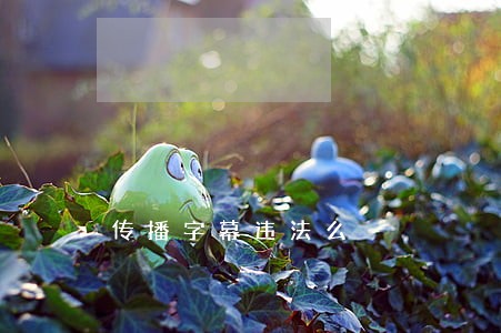 传播字幕违法么 传播字幕违法么