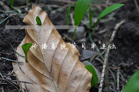 传播春晚节目单违法 传播春晚节目单违法