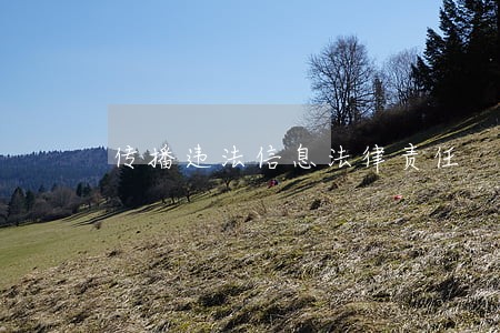 传播违法信息法律责任 传播违法信息法律责任