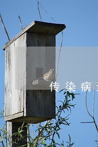 传染病法制宣传ppt