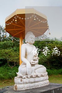 传染病法律法规ppt 传染病法律法规ppt