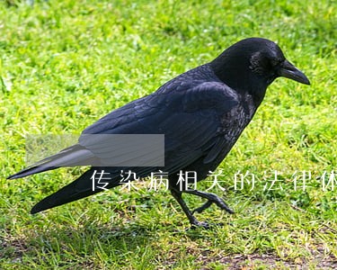 传染病相关的法律体系 传染病相关的法律体系