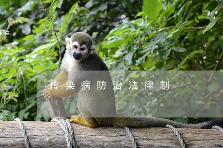 传染病防治法律制 传染病防治法律制
