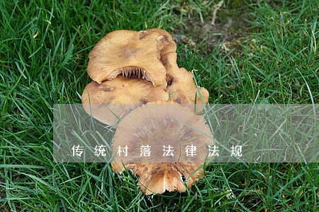 传统村落法律法规