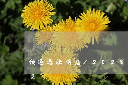 传递违法信息/2023020552342 传递违法信息/2023020552342