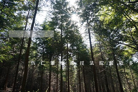 伤亡肇事通过法院最短多长时间 伤亡肇事通过法院最短多长时间